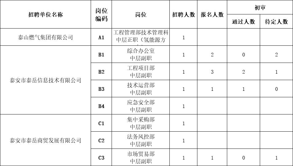 泰安市泰山城建集团有限公司部分权属企业 带职务人员报名情况公示